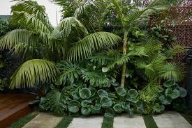 Auckland Garden Design Fest In 2020 Tropical Backyard Landscaping Garden Design Tropical Backyard
