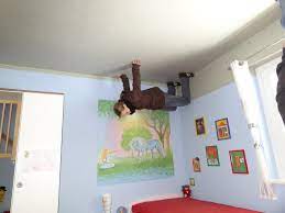 Nicht nur ein ganzes haus auf dem dach. Das Verruckte Haus Bispingen