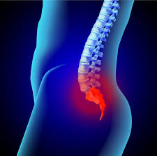 We did not find results for: What Causes Of Tailbone Pain In Elders Without Injury Back Restored