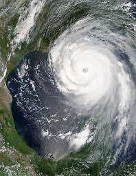 Na vinicích místy jen trčí pahýly révových keřů, jsou zničené i sklepy s vybavením. Hurrikan Katrina Wikipedia
