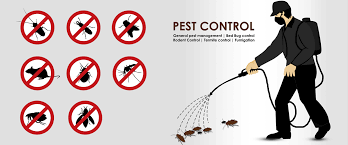 Welcome to the conway home depot. Finest Pest Control In Conway Ar 24 Hour Pest Exterminators