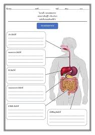 Pin By Aor Rora2 On I For Illus Day Earth Day Map