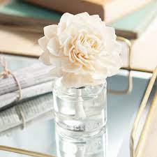 Scentsy Amazon Rain Fragrance Flower Flower Diffuser Scentsy Scentsy Fragrance