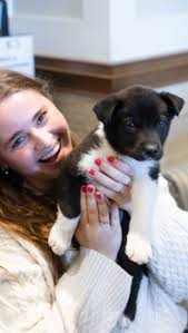 The Jack C. Massey College of Business 🎓‎‏