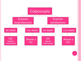 The transformation zone was fully visualized in all patients by the 20th week of gestation. Cancer Cervico Uterino Ppt Video Online Descargar