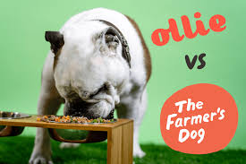 A dog food delivery service like the farmer's dog can give you the benefits of homemade without the work. Ollie Vs The Farmer S Dog Which Is The Best Fresh Dog Food Online