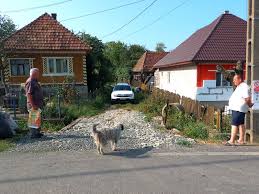 Serviciul gratuit google traduce instantaneu cuvinte, expresii și pagini web între română și peste 100 de alte limbi. Un Drum De Acces Motiv De NeinÅ£elegeri In Satu Nou De Jos Graiul MaramureÈului Cotidian Independent Al JudeÈului MaramureÈ