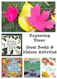 Leaves And Seeds Nature Activities For Kids Nature Activities Activities Preschool Activities