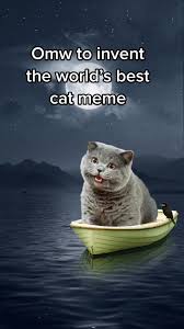 Image result for i can has cheezburger