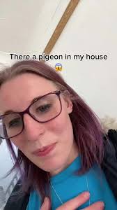 #foryoupage #fyp #blowthisup #blowmyaccountup #theresapigeoninmybedroom  #itsscaredme