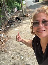 Nomar Cruz 3h Perdido área de Fajardo (Extensión Meléndez) Si alguien lo ve  o sabe dónde está porfavor comunicarse conmigo. Es mi perro Su nombre es  (Chapo)