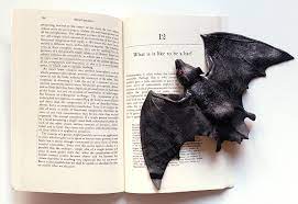He goes on to consider in some detail the mind/body problem, and how any attempts to describe subjective experience, such as what it is like to be a bat, might proceed. Philosophy By The Way What Is It Like To Be A Bat