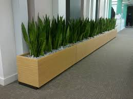 Indoor Garden Design Office Plants In London Indoor Planters Indoor Plants Bathroom Indoor Plants Diy