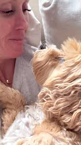 Schnauzer recovers from severe pancreatitis