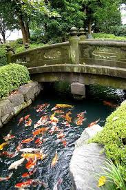 Pin By Rosariohacesricardez On Japan Japanese Garden Koi Pond Koi