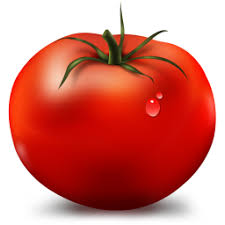 Todo Sobre El Cultivo Del Tomate Aprende Cuando Y Como Plantar Tomates En Macetas Sabes Como Debe Ser Su R Bodegon De Frutas Pintar Frutas Dibujos De Frutas