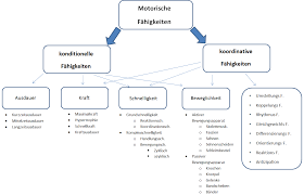 Als koordinative fähigkeiten bezeichnet man im bereich der motorik eine reihe von dispositionen, die als voraussetzung gelten für das gestalten einer koordinierten bewegung. Http Www Deb Online De Wp Content Uploads 2015 08 Das Talentdiagnosesystem Pdf