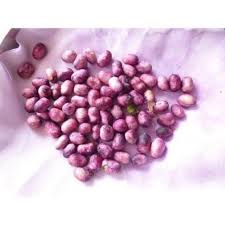 Image result for Syzygium cumini