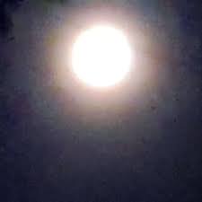 Deborah Currie (@curriedeborah_) • Instagram photos and videos