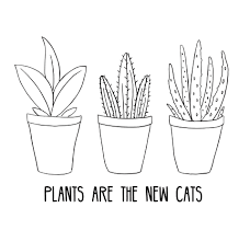 See more ideas about plant drawing, flower drawing, drawings. Aesthetic Easy Plant Drawings Novocom Top