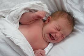Check spelling or type a new query. Trauma And Infant Adoption Welcome To Center For Youth Family Solutions