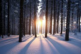 This is the astronomical first day of winter in the northern hemisphere and the shortest day of the year. 8 Things To Know About The Winter Solstice