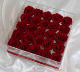 25 Preserved Roses in Acrylic Box