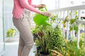 Oleh karena itu budidaya hidroponik dapat dilakukan di tempat sempit sekalipun (tidak memerlukan lahan luas). 7 Cara Bercocok Tanam Jenis Dan Manfaat Bagi Kehidupan Sehari Hari