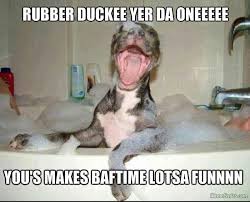 When The Moon Hits Your Eye Like A Big Pizza Pie That S Amore Happy Dogs Pitbulls Funny Animal Pictures