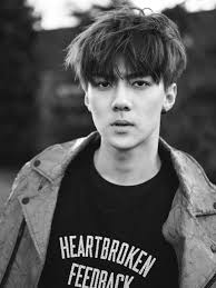 Hasil gambar untuk sehun exo