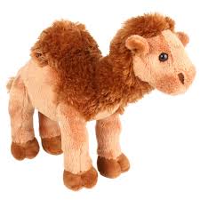 Bader lifted the rope that circled one by one the camels lifted their heads and ambled in our direction, with their eyes fixed firmly on us. Camel Soft Plush Toy Alice Stuffed Toy Camel By Minkplush