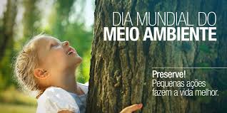 É também uma oportunidade de incorporar as soluções. Bituruna Realizara Live Na Semana Do Dia Mundial Do Meio Ambiente Radio Colmeia