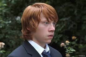 Unterwegs mit Evie [Alemania] [DVD]: Amazon.es: Grint, Rupert, Walters,  Julie, Linney, Laura, Brock, Jeremy, Grint, Rupert, Walters, Julie:  Películas y TV