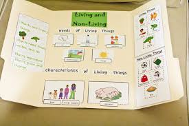 Biology For A Changing World 3rd Edition Living And Non Living Things Lapbook And Experiments Living And Nonliving Kindergarten Science Activities Science Biology