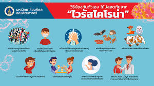 5,900,000 ส่งเสริมหน่วยงานในการเป็นองค์กรรอบรู้พิชิต โควิด 12เขตสุขภาพ + กทม. Infographic Clips 2 à¹ƒà¸« à¸„à¸§à¸²à¸¡à¸£ à¹€à¸ à¸¢à¸§à¸ à¸šà¹€à¸Š à¸­à¹„à¸§à¸£ à¸ªà¹‚à¸„à¹‚à¸£à¸™à¸²2 Mahidol University