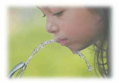 Annual report (2013)