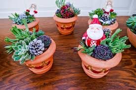 Give them a succulent gift they can admire and enjoy for years. Christmas Succulent Arrangements In Pots Joy Us Garden