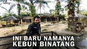 Taman hewan updated their profile picture. R Zoo And Park Perbaungan Kebun Binatang Di Tengah Hutan Sawit Youtube