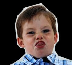 Parent Management Training (PMT) & Collaborative and Proactive Solutions  (CPS): A Randomised Comparison Trial for Opposition