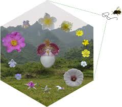 Garden rose embroidery pattern, $8, amy l frazer. The Functional Significance Of Complex Floral Colour Pattern In A Food Deceptive Orchid Ma 2016 Functional Ecology Wiley Online Library