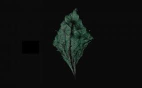 Number 1 wallpaper is from an bts album, and the 4th one down in the right corner in the water says bts. Wallpapers Computer Green Aesthetic 2021 Live Wallpaper Hd