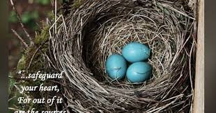 Blue Bird Eggs With Brown Spots Pin By Kar3n 59 On Jehovah Thankful U Found Me Bird Nest Bird Eggs Nest