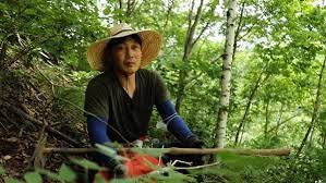 Al shabab football club)는 사우디아라비아의 축구 클럽으로, 1947년에 샤바브 알리야드란 이름으로 창단되었다. 6gz6rtbodhbrlm