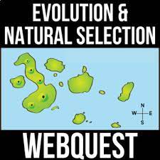 Then, students create an electronic version to motivate others to prepare for natural disasters. Darwin Natural Selection Evolution Webquest Pdf Digital Versions