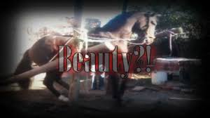 Looking for more camel toe? Charro Riding Cruelty Behind The Dancing Hanaeleh Horse Rescue And Advocacy