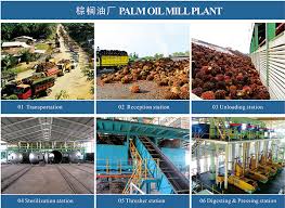 Techniques for processing oil palm fruits vary with available technology. Palm Oil Production Process Pdf Company News