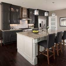 We have lots of kitchen color ideas with dark cabinets for people to pick. 75 Beautiful Dark Wood Floor Kitchen With Gray Cabinets Pictures Ideas May 2021 Houzz