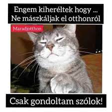 A vírus előfordulását követheti a világban. Egy Kis Nevetes Sosem Art Koronavirus Memek A Kozossegi Media Terben Kozossegi Media Mindenkinek