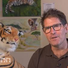 hundkatzemaus: Gefährlicher Einsatz für das Team beim Hüft-Check zweier  Tiger