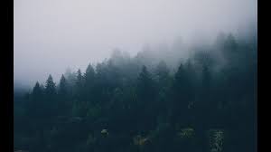 The great collection of reddit wallpapers for desktop, laptop and mobiles. Fetch Images From Reddit For Your Desktop Wallpaper Python Beginners By Naveen Medium